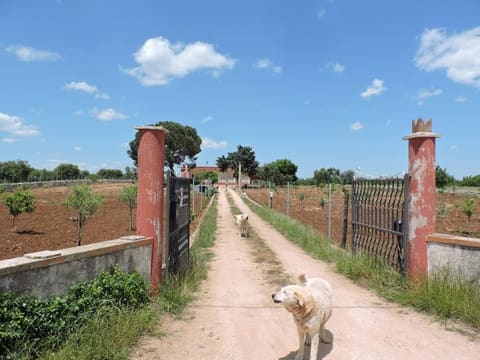 Photo: Immobile residenziale in Gioia del Colle (BA)