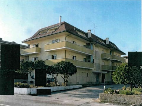 Photo of the lot 2