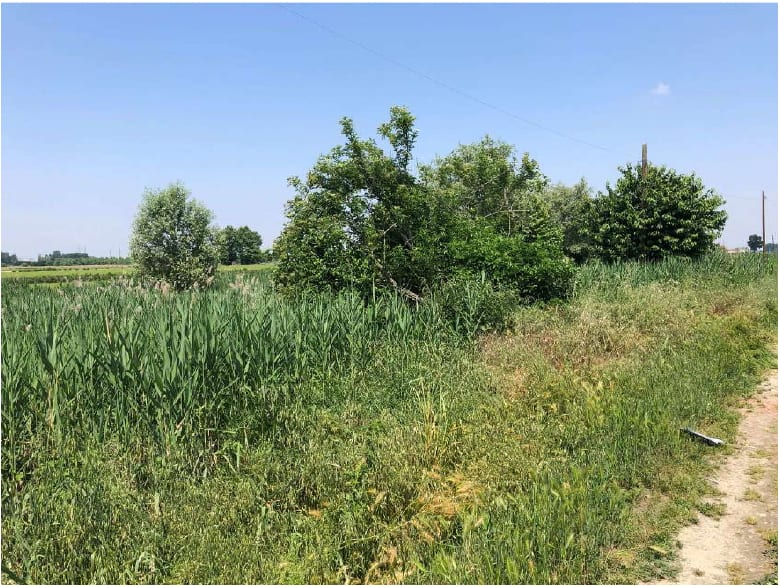 Foto del lotto: Altra categoria a Casale Monferrato