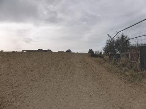 Foto del lotto 6