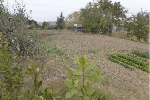 Photo: Altra categoria in Santa Vittoria in Matenano (FM)