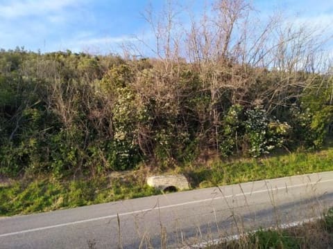 Photo: Altra categoria in Fermo (FM)