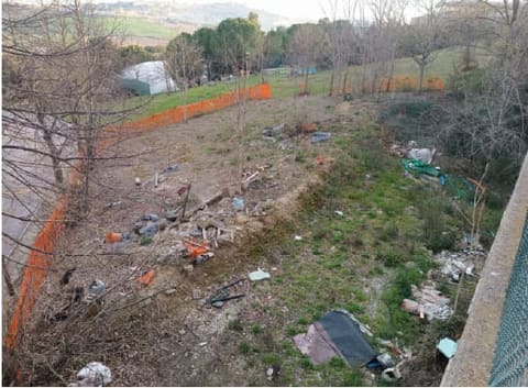 Photo of the lot 3