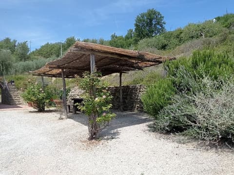 Photo of the lot 3