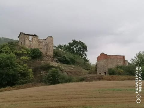 Photo of the lot 5