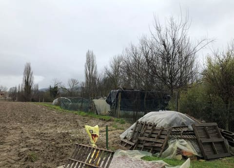 Photo of the lot 6