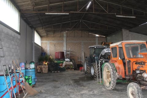 Photo of the lot 8