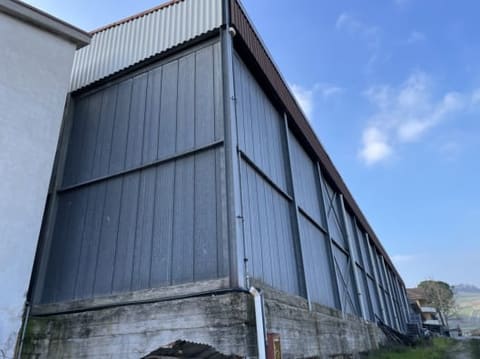 Photo of the lot 3