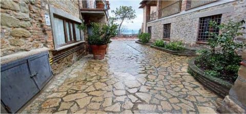 Photo: Altra categoria in Passignano sul Trasimeno (PG)