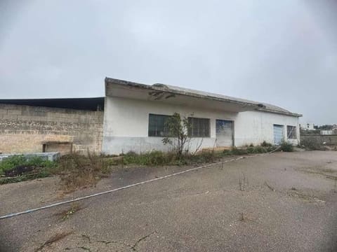 Photo of the lot 1