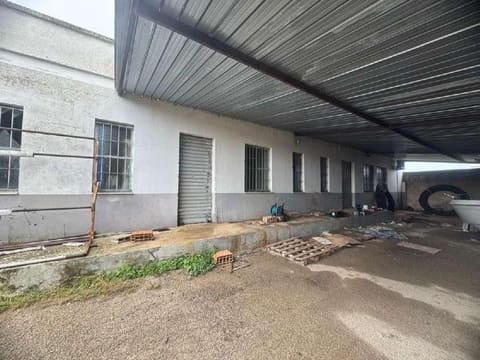 Photo of the lot 3