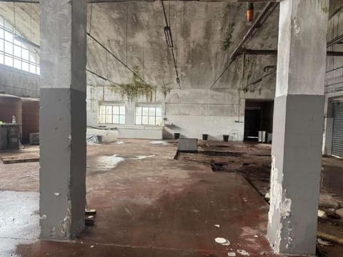 Photo of the lot 9