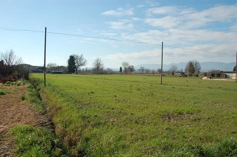 Foto: Altra categoria a Trevi (PG)