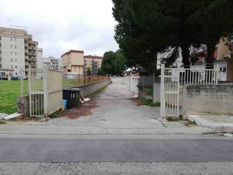 Photo of the lot 3