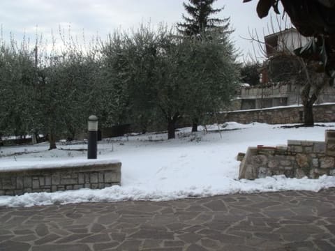 Photo of the lot 2