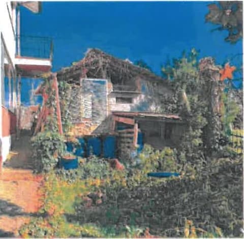Foto del lotto 3