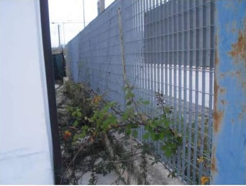 Photo of the lot 8