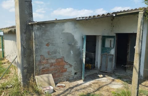 Foto del lotto 7