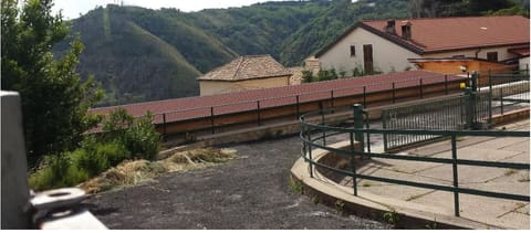 Foto del lotto 3