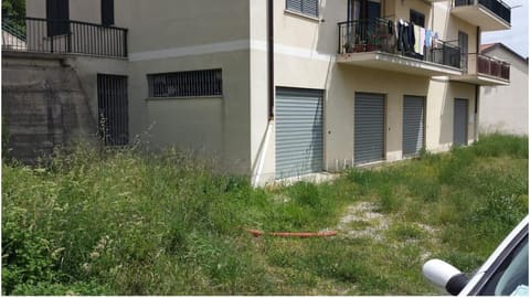 Photo of the lot 1