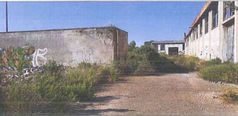 Foto del lotto 5