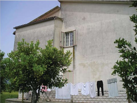 Photo: Altra categoria in Luzzi (CS)