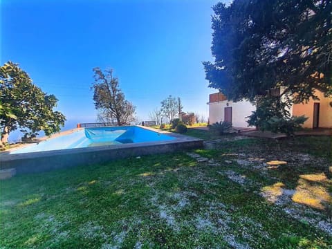 Photo of the lot 4