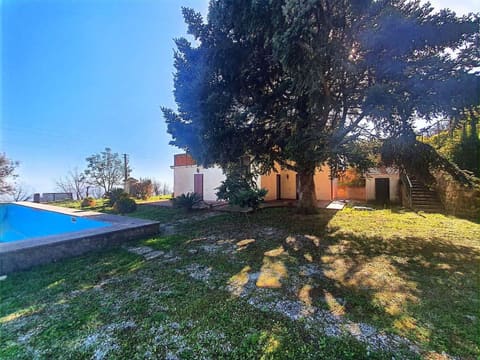 Photo of the lot 5