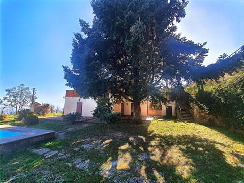 Photo of the lot 6