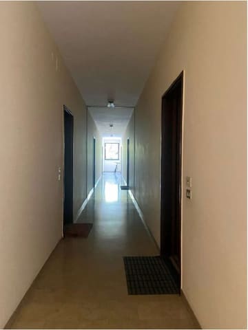 Photo of the lot 2