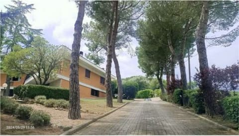 Photo of the lot 3