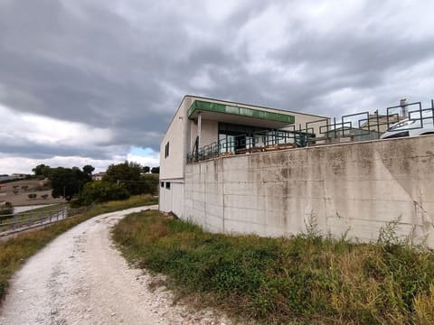 Foto del lotto 2