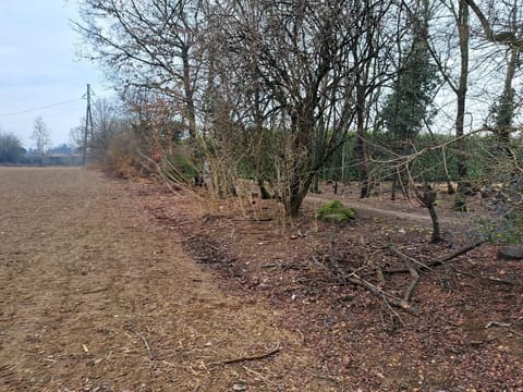 Photo: Altra categoria in Busto Arsizio (VA)