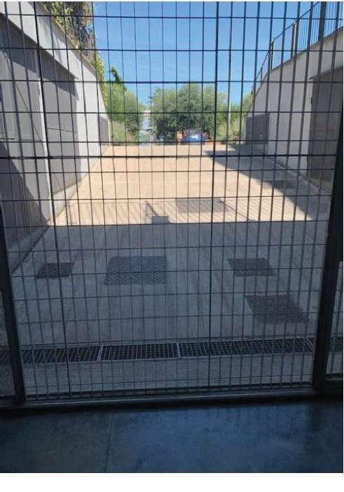 Photo of the lot: Immobile residenziale in Perugia