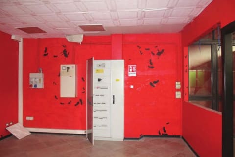 Foto del lotto 7