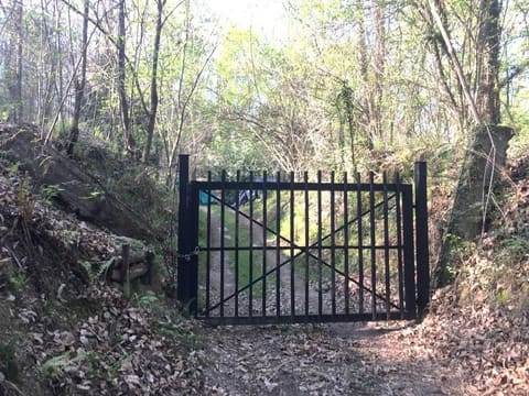 Photo: Altra categoria in Lipomo (CO)