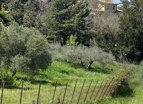 Photo: Altra categoria in Corleone (PA)
