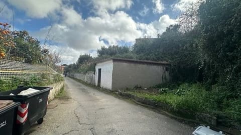 Foto del lotto 3