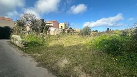 Foto del lotto 4