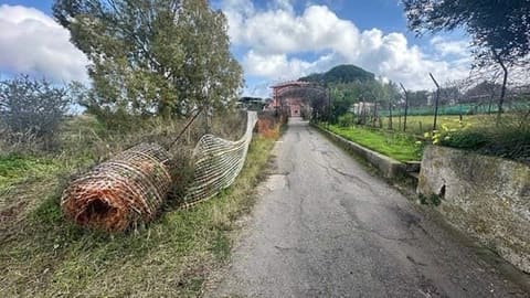 Foto del lotto 6