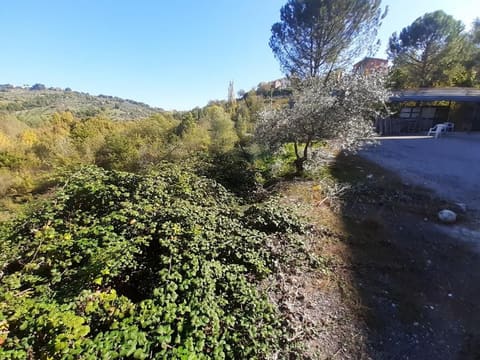 Foto: Altra categoria a Mirabello Sannitico (CB)
