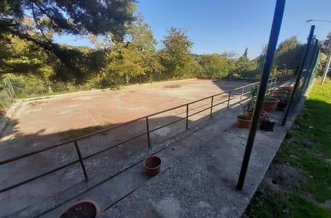Foto del lotto 3