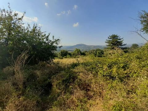 Foto: Altra categoria a Mirabello Sannitico (CB)