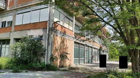 Photo of the lot 4