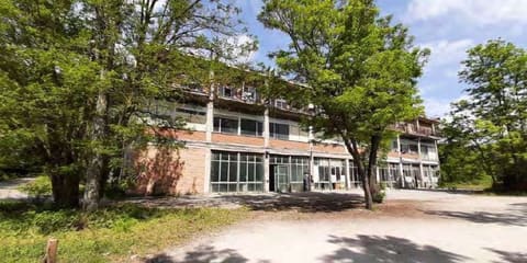 Photo of the lot 5