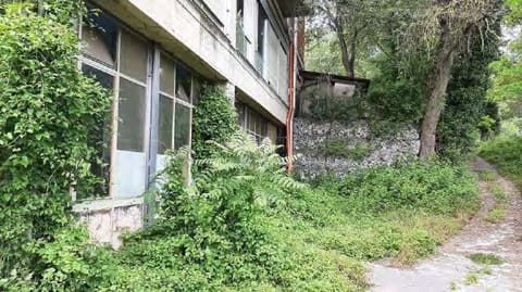 Photo of the lot 7