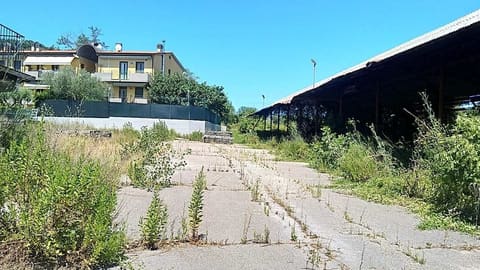 Photo of the lot 3