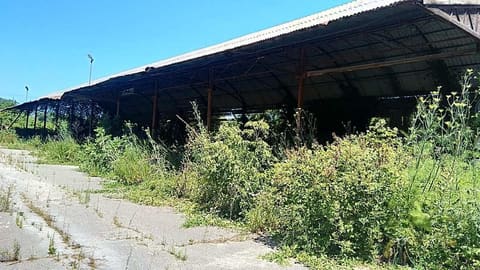 Photo of the lot 6