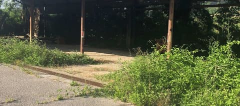 Photo of the lot 8