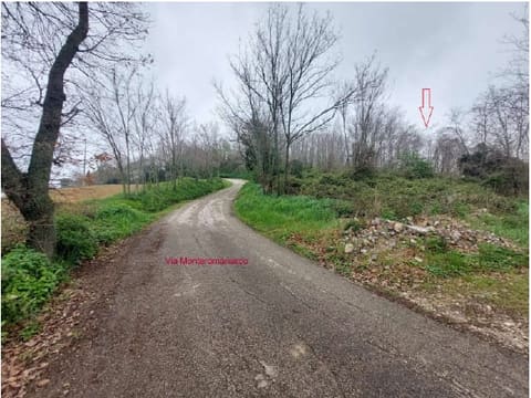 Photo: Altra categoria in Pesaro (PU)